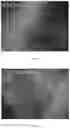 Fig. 02 - Multi-response cellulose nanocrystals-composite film and preparation method thereof