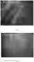Fig. 04 - Multi-response cellulose nanocrystals-composite film and preparation method thereof