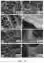 Fig. 10 - METHOD OF PREPARING A NANO- AND/OR MICROSCALE CELLULOSE FOAM