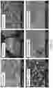 Fig. 04 - Functionalized polymer particles for use as toughening agent
