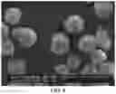 Fig. 05 - Functionalized polymer particles for use as toughening agent