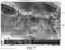 Fig. 08 - Functionalized polymer particles for use as toughening agent