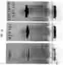 Fig. 11 - ENVIRONMENTALLY-FRIENDLY DUST SUPPRESSANT POLYMER BLEND