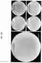 Fig. 16 - ENVIRONMENTALLY-FRIENDLY DUST SUPPRESSANT POLYMER BLEND
