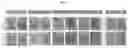 Fig. 09 - COMPOSITIONS AND METHODS OF USING PARTIAL GEL LAYERS IN A MICROFLUIDIC DEVICE