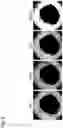 Fig. 09 - CELL CULTURE SUBSTRATE