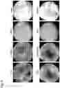 Fig. 10 - CELL CULTURE SUBSTRATE