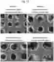 Fig. 13 - CELL CULTURE SUBSTRATE