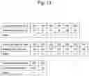 Fig. 14 - CELL CULTURE SUBSTRATE