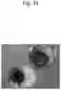 Fig. 15 - CELL CULTURE SUBSTRATE