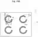 Fig. 17 - CELL CULTURE SUBSTRATE