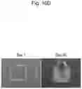 Fig. 23 - CELL CULTURE SUBSTRATE