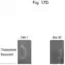 Fig. 27 - CELL CULTURE SUBSTRATE