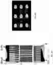 Fig. 14 - Microfluidic sorting using high gradient magnetic fields