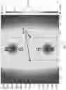 Fig. 19 - Microfluidic sorting using high gradient magnetic fields