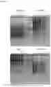 Fig. 09 - Antifouling Composition and Process for Production Thereof