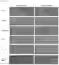 Fig. 18 - Antifouling Composition and Process for Production Thereof