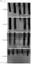 Fig. 23 - Antifouling Composition and Process for Production Thereof