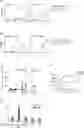Fig. 01 - MULTICELL CONJUGATES FOR ACTIVATING ANTIGEN-SPECIFIC T CELL RESPONSES