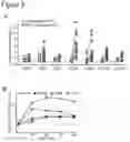 Fig. 07 - MULTICELL CONJUGATES FOR ACTIVATING ANTIGEN-SPECIFIC T CELL RESPONSES