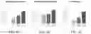 Fig. 09 - Amniotic fluid cell-derived extracellular matrix and uses thereof