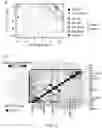 Fig. 06 - CHOROID PLEXUS ORGANOIDS AND METHODS FOR PRODUCTION THEREOF