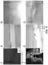 Fig. 07 - BLOOD BRAIN BARRIER MODEL AND METHODS OF MAKING AND USING THE SAME