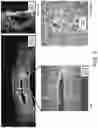 Fig. 08 - BLOOD BRAIN BARRIER MODEL AND METHODS OF MAKING AND USING THE SAME