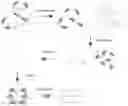 Fig. 01 - Methods and Compositions for the Single Tube Preparation of Sequencing Libraries Using Cas9