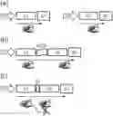 Fig. 01 - Nucleic acid construct