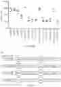 Fig. 06 - Nucleic acid construct