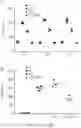 Fig. 11 - Nucleic acid construct