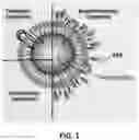 Fig. 02 - FUSOGENIC LIPID NANOPARTICLES FOR THE TARGET CELL-SPECIFIC PRODUCTION OF RAPAMYCIN INDUCIBLE THERAPEUTIC PROTEINS