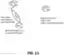 Fig. 13 - FUSOGENIC LIPID NANOPARTICLES FOR THE TARGET CELL-SPECIFIC PRODUCTION OF RAPAMYCIN INDUCIBLE THERAPEUTIC PROTEINS