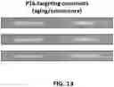 Fig. 15 - FUSOGENIC LIPID NANOPARTICLES FOR THE TARGET CELL-SPECIFIC PRODUCTION OF RAPAMYCIN INDUCIBLE THERAPEUTIC PROTEINS