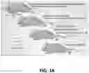 Fig. 16 - FUSOGENIC LIPID NANOPARTICLES FOR THE TARGET CELL-SPECIFIC PRODUCTION OF RAPAMYCIN INDUCIBLE THERAPEUTIC PROTEINS