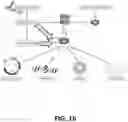 Fig. 18 - FUSOGENIC LIPID NANOPARTICLES FOR THE TARGET CELL-SPECIFIC PRODUCTION OF RAPAMYCIN INDUCIBLE THERAPEUTIC PROTEINS