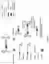 Fig. 06 - PARAVOVIRAL VECTORS AND METHODS OF MAKING AND USE THEREOF
