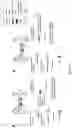 Fig. 09 - PARAVOVIRAL VECTORS AND METHODS OF MAKING AND USE THEREOF
