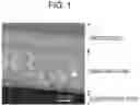 Fig. 02 - Electrical steel sheet having insulating coating