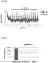 Fig. 06 - RECOMBINANT PEPTIDE-MHC COMPLEX BINDING PROTEINS AND THEIR GENERATION AND USE