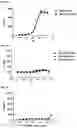 Fig. 09 - RECOMBINANT PEPTIDE-MHC COMPLEX BINDING PROTEINS AND THEIR GENERATION AND USE