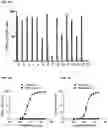 Fig. 10 - RECOMBINANT PEPTIDE-MHC COMPLEX BINDING PROTEINS AND THEIR GENERATION AND USE
