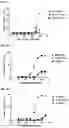 Fig. 11 - RECOMBINANT PEPTIDE-MHC COMPLEX BINDING PROTEINS AND THEIR GENERATION AND USE