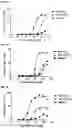 Fig. 12 - RECOMBINANT PEPTIDE-MHC COMPLEX BINDING PROTEINS AND THEIR GENERATION AND USE