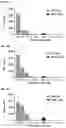 Fig. 15 - RECOMBINANT PEPTIDE-MHC COMPLEX BINDING PROTEINS AND THEIR GENERATION AND USE