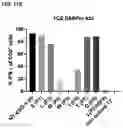 Fig. 19 - RECOMBINANT PEPTIDE-MHC COMPLEX BINDING PROTEINS AND THEIR GENERATION AND USE
