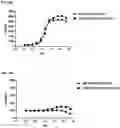 Fig. 21 - RECOMBINANT PEPTIDE-MHC COMPLEX BINDING PROTEINS AND THEIR GENERATION AND USE