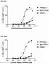 Fig. 22 - RECOMBINANT PEPTIDE-MHC COMPLEX BINDING PROTEINS AND THEIR GENERATION AND USE