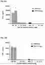 Fig. 23 - RECOMBINANT PEPTIDE-MHC COMPLEX BINDING PROTEINS AND THEIR GENERATION AND USE